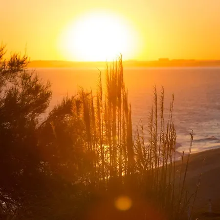 Apartament Avenue Vilamoura *