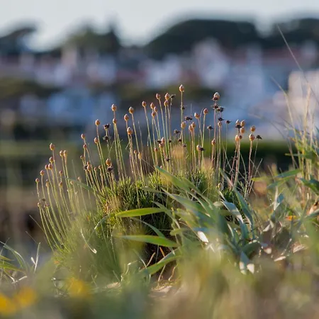 Appartamento Avenue Vilamoura