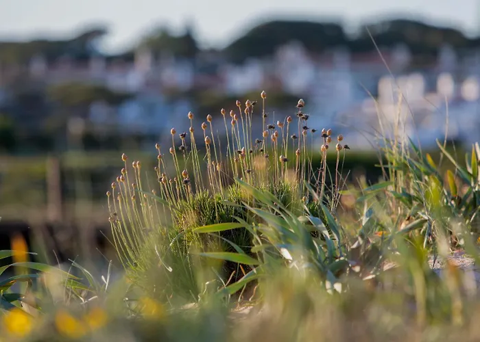 아파트 Avenue Vilamoura